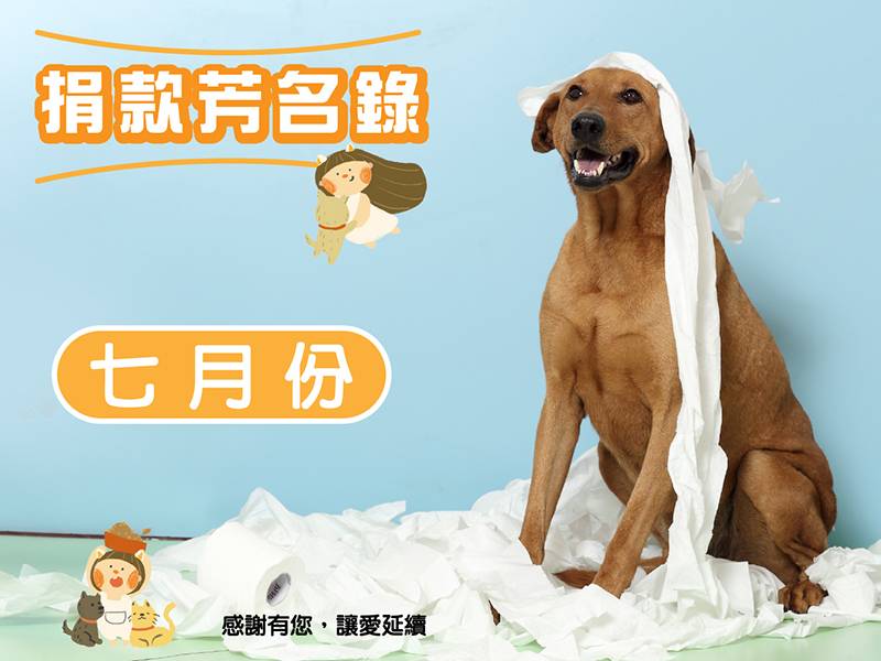 115年7月捐款-2